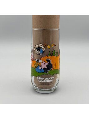 Camp Snoopy McDonalds Collectible Glass 1980s Peanuts Struggle for Security
